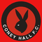 Coney Hall Football Club
